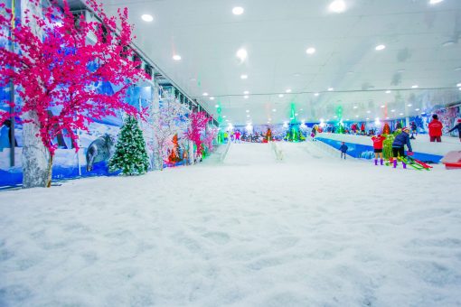 Vui Chơi Động Tuyết - Hình ảnh 5